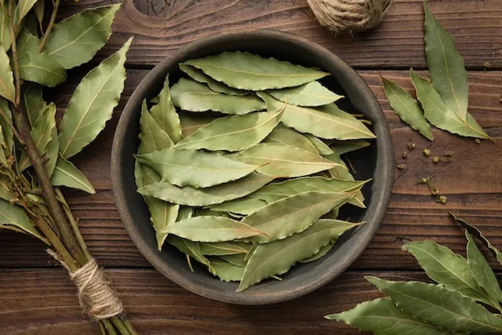 Bay Leaf